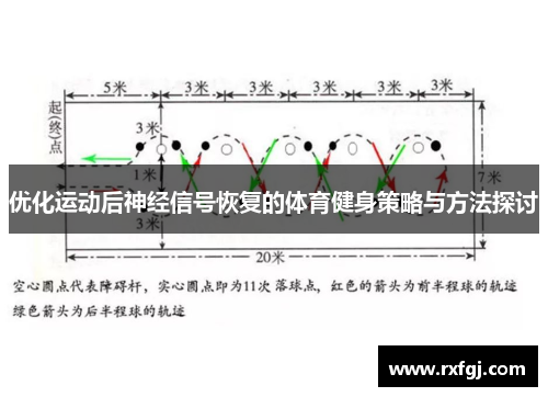 优化运动后神经信号恢复的体育健身策略与方法探讨