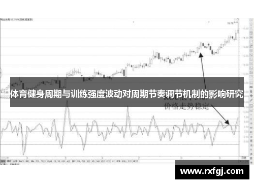 体育健身周期与训练强度波动对周期节奏调节机制的影响研究