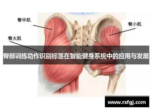 臀部训练动作识别标签在智能健身系统中的应用与发展