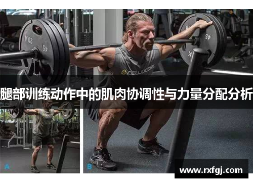 腿部训练动作中的肌肉协调性与力量分配分析
